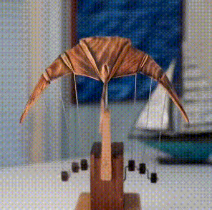 Handcrafted Wooden Manta Ray Automaton