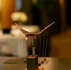 Handcrafted Wooden Manta Ray Automaton