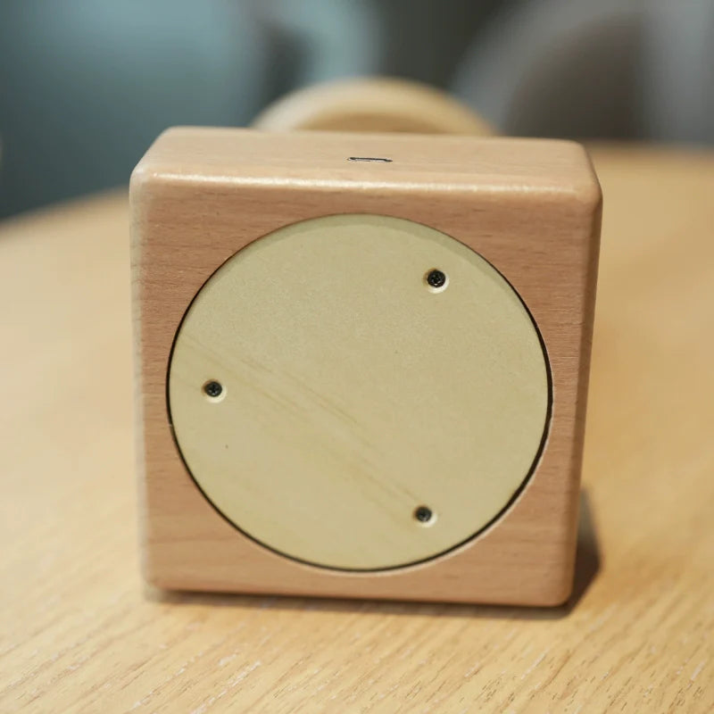 Handcrafted Wooden Jellyfish Automaton